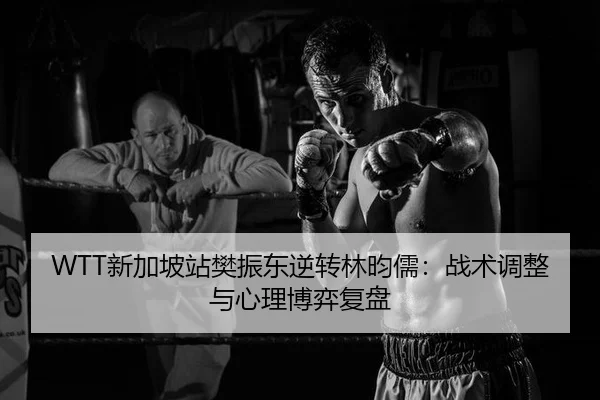 WTT新加坡站樊振东逆转林昀儒：战术调整与心理博弈复盘